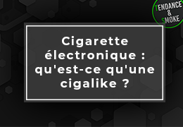 Cigarette électronique : qu'est-ce qu'une cigalike ?