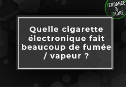 Quelle cigarette électronique fait beaucoup de fumée / vapeur ?